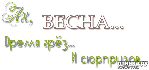 ���� 14: �����, ������...