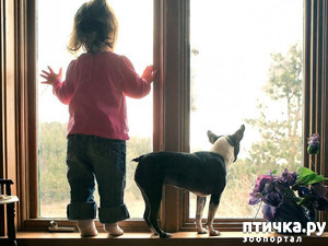 фотография: Что такое счастье? Знает точный кто ответ? фото: Что такое счастье? Знает точный кто ответ?