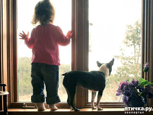 ���� 1: ��� ����� �������? ����� ������ ��� �����?