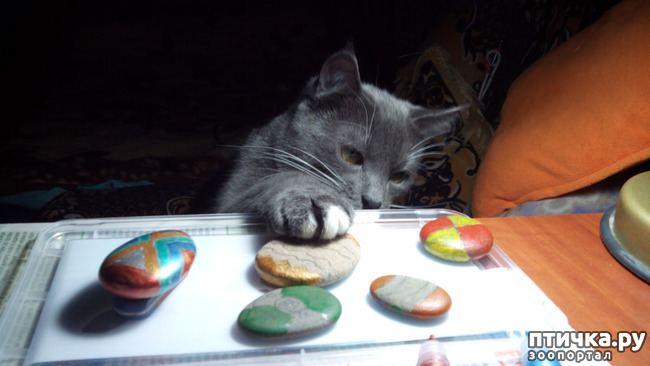 ���� 1: ������� �� �����