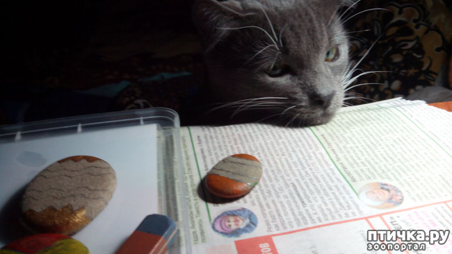 ���� 2: ������� �� �����