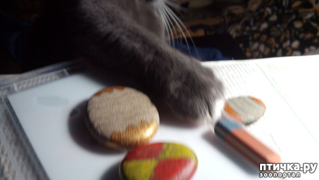 ���� 3: ������� �� �����