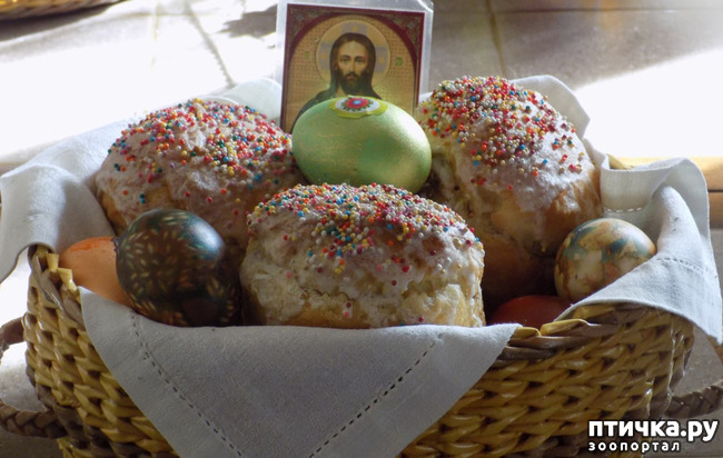 ���� 4: �� ������� ���������� �����!