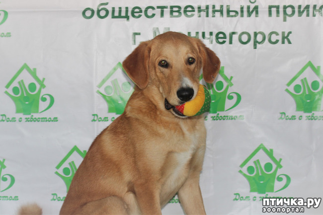 ���� 1: ��� � ���� ������� ��������� ������.