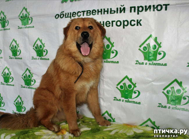 ���� 2: ��� � ���� ������� ��������� ������.