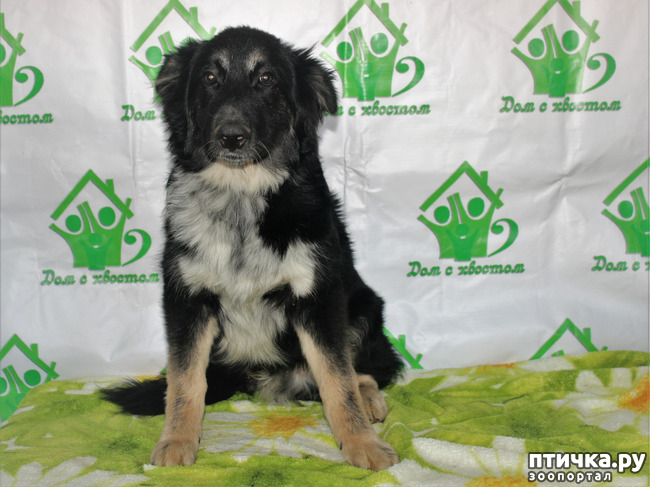 ���� 3: ��� � ���� ������� ��������� ������.