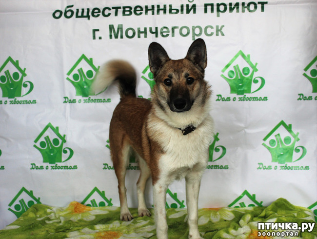 ���� 4: ��� � ���� ������� ��������� ������.