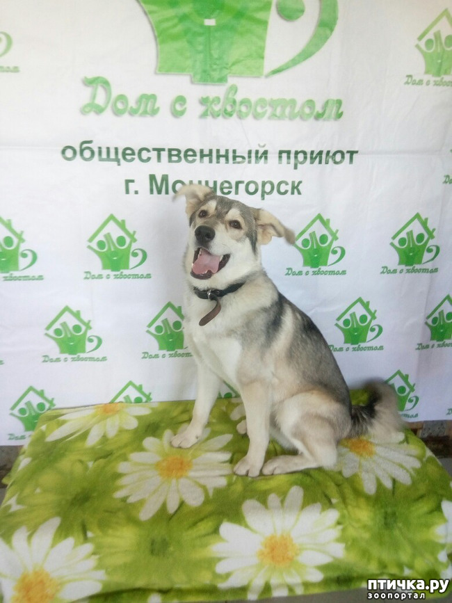 ���� 5: ��� � ���� ������� ��������� ������.