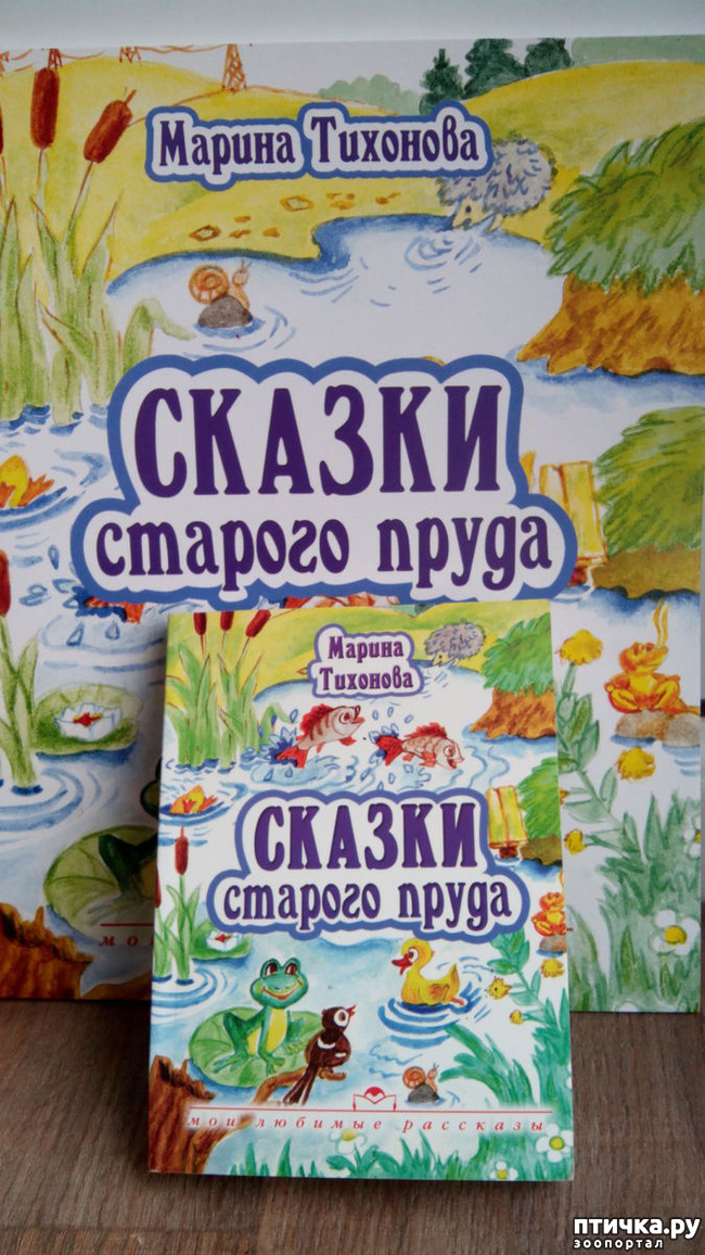 ���� 4: ������ ��������