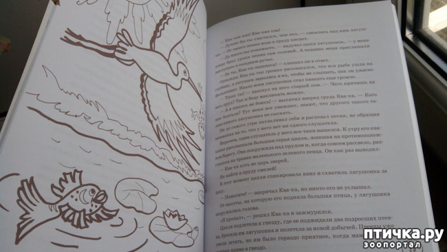 ���� 5: ������ ��������