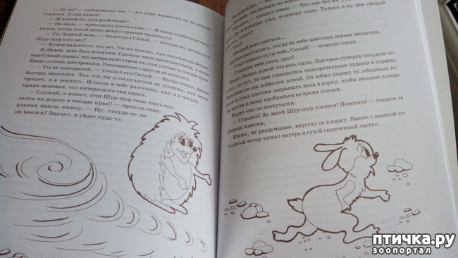 ���� 6: ������ ��������