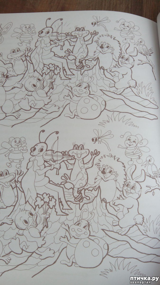 ���� 7: ������ ��������