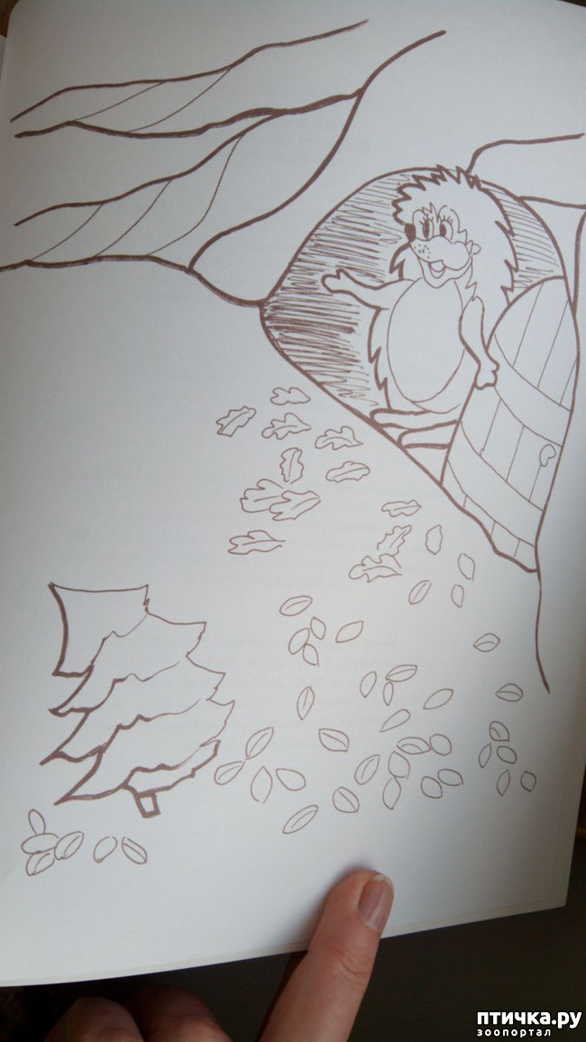 ���� 8: ������ ��������