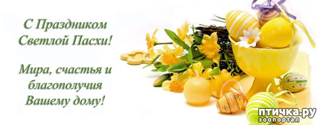 ���� 1: �� ������� ���������� �����!