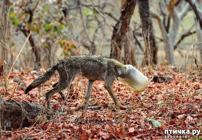 ���� 1: ���� � ������ �� ������ ����� ��� �����