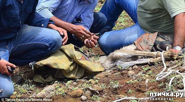 ���� 3: ���� � ������ �� ������ ����� ��� �����