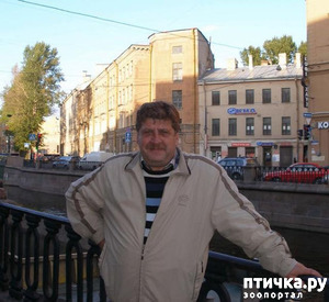 ����: " ���� ����������! "