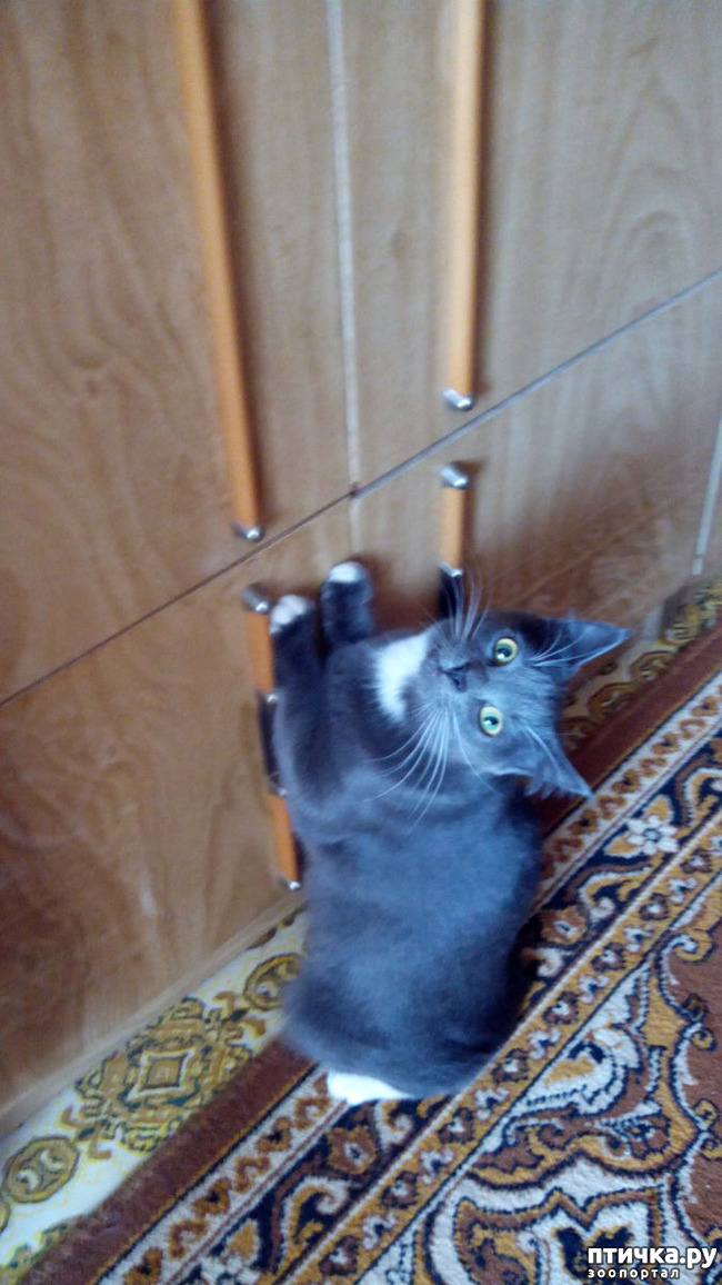 ���� 1: ���������� ��� ������-�����������?