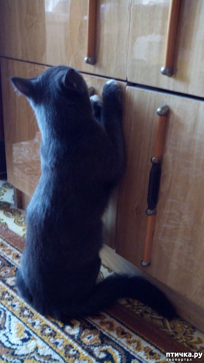 ���� 2: ���������� ��� ������-�����������?