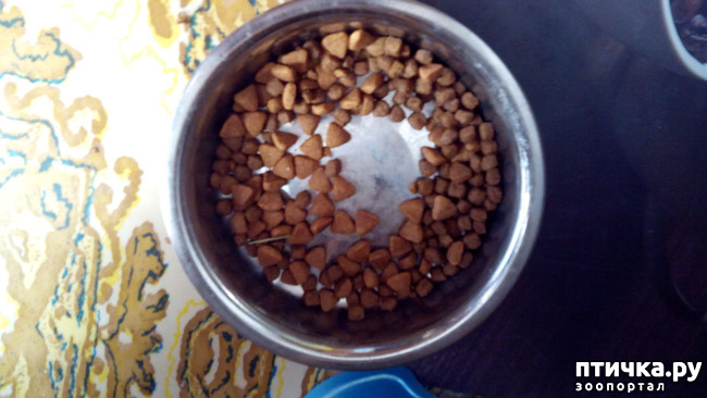 ���� 3: ���������� ��� ������-�����������?