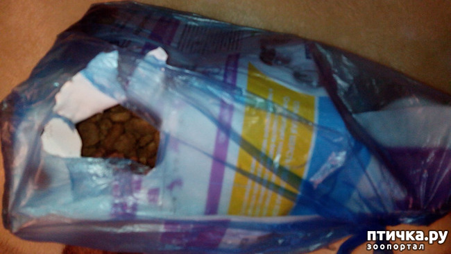 ���� 4: ���������� ��� ������-�����������?