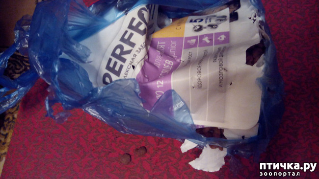 ���� 5: ���������� ��� ������-�����������?