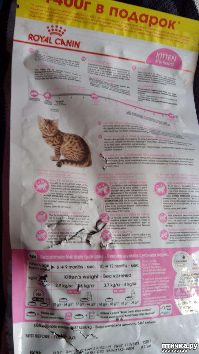 ���� 6: ���������� ��� ������-�����������?