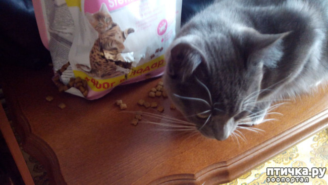 ���� 7: ���������� ��� ������-�����������?