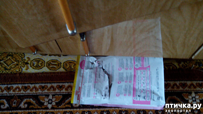 ���� 8: ���������� ��� ������-�����������?