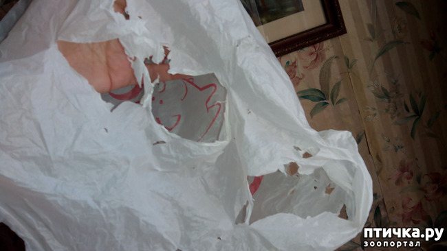 ���� 9: ���������� ��� ������-�����������?