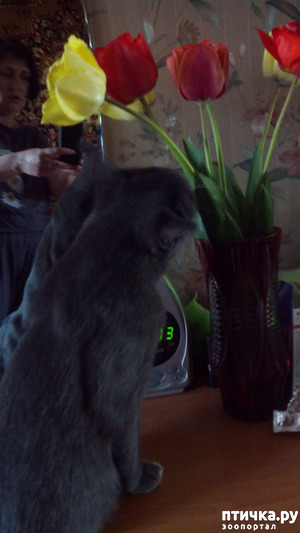 ����: �������� ���������