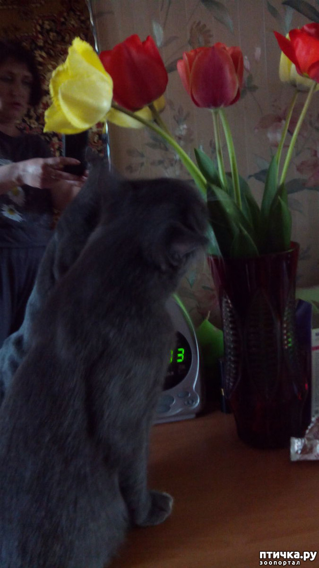 ���� 1: �������� ���������