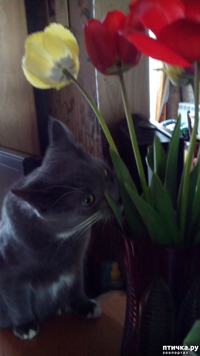 ���� 2: �������� ���������