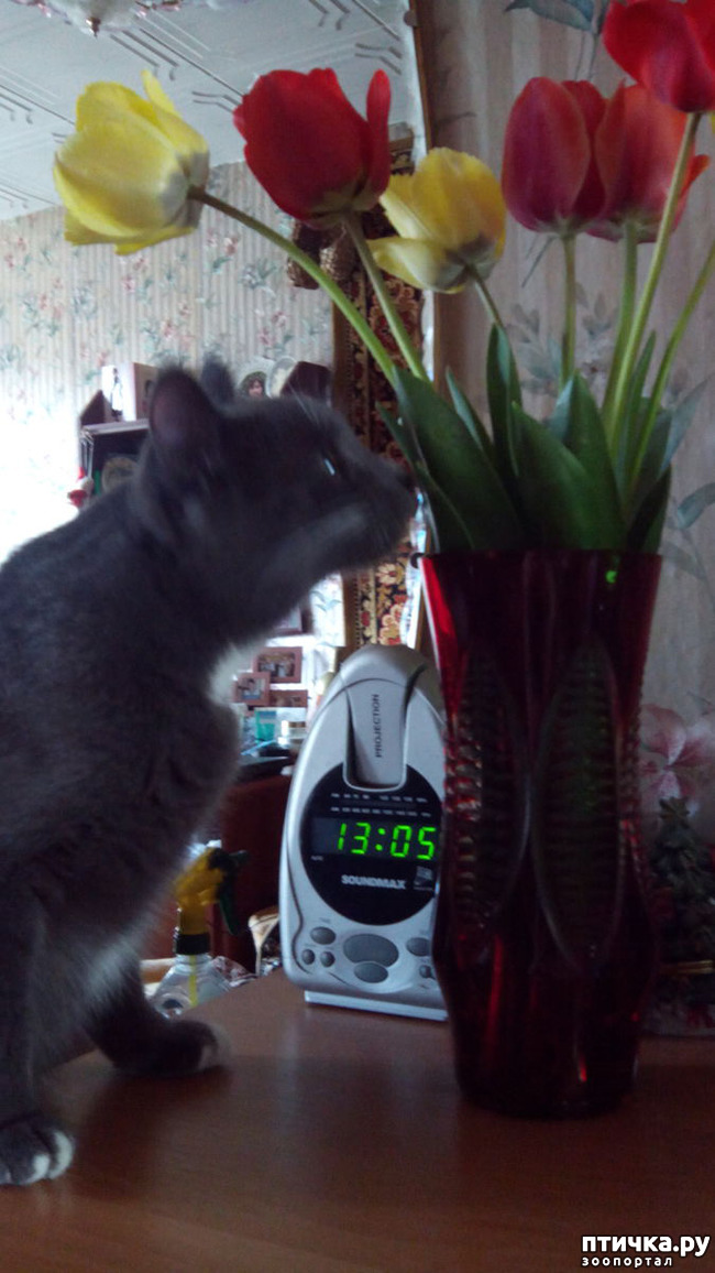 ���� 3: �������� ���������