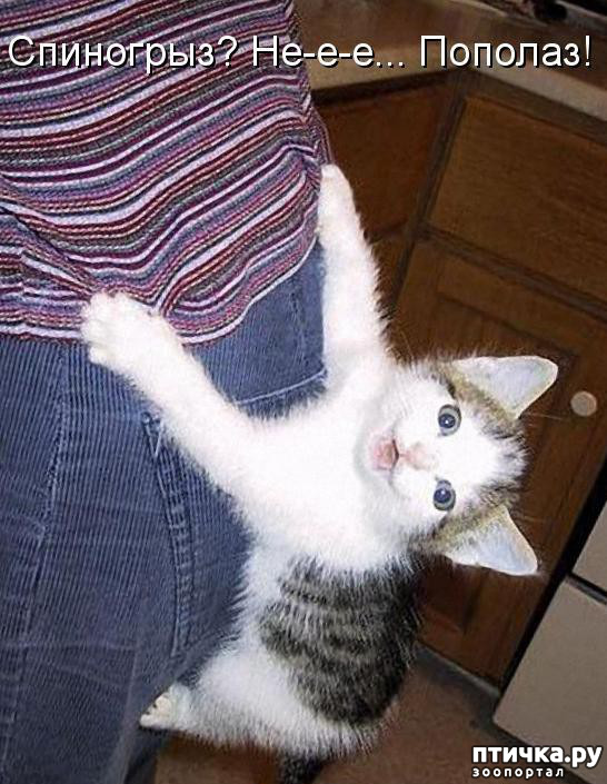 ���� 1: � ���������� � ������������� �����)