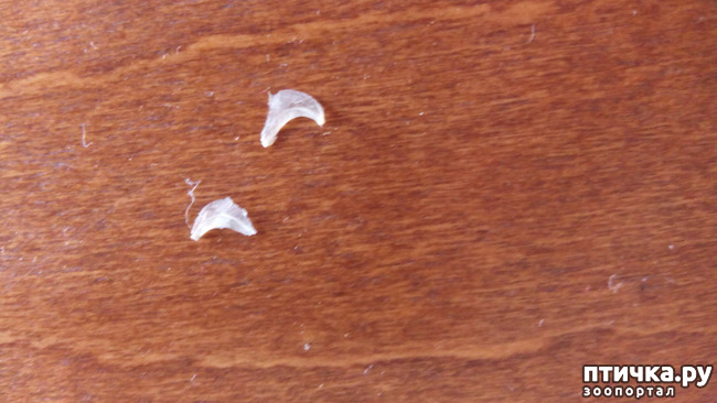 ���� 2: � �� ����� ��������?