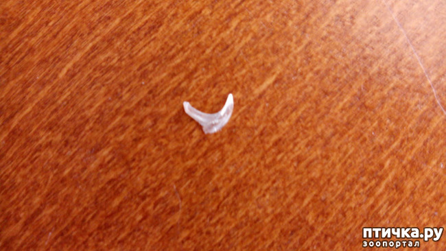 ���� 3: � �� ����� ��������?