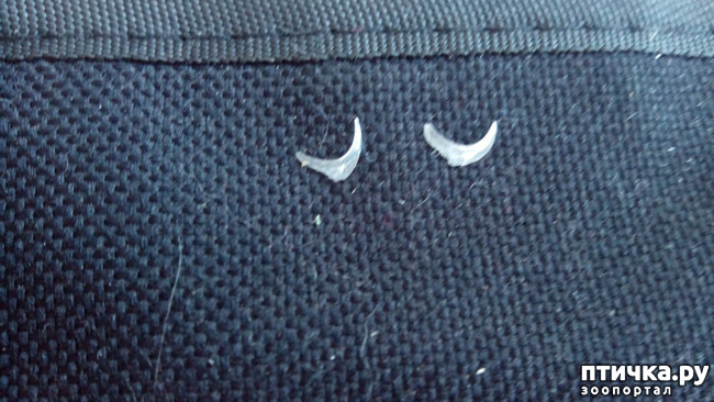 ���� 4: � �� ����� ��������?