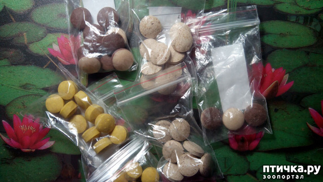 ���� 5: � �� ����� ��������?