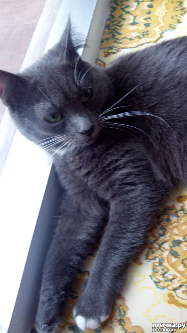 ���� 1: � �� ����� ��������?