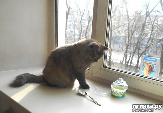 ���� 1: ������� ���������