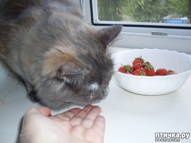 ���� 2: ������� ���������