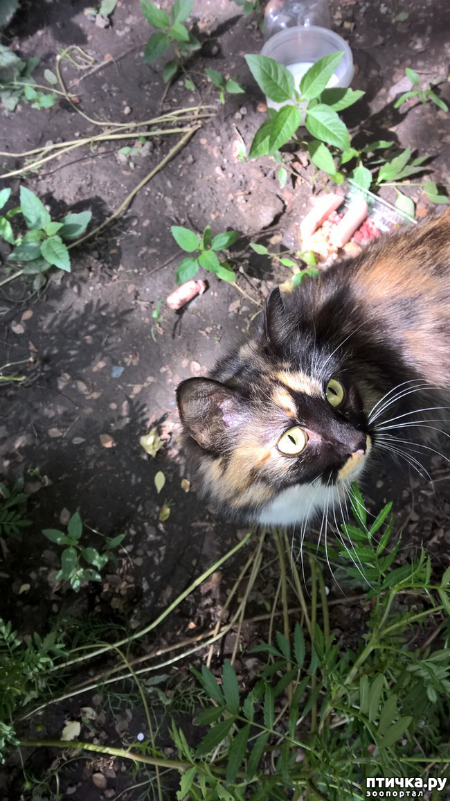 ���� 1: ������� ���������