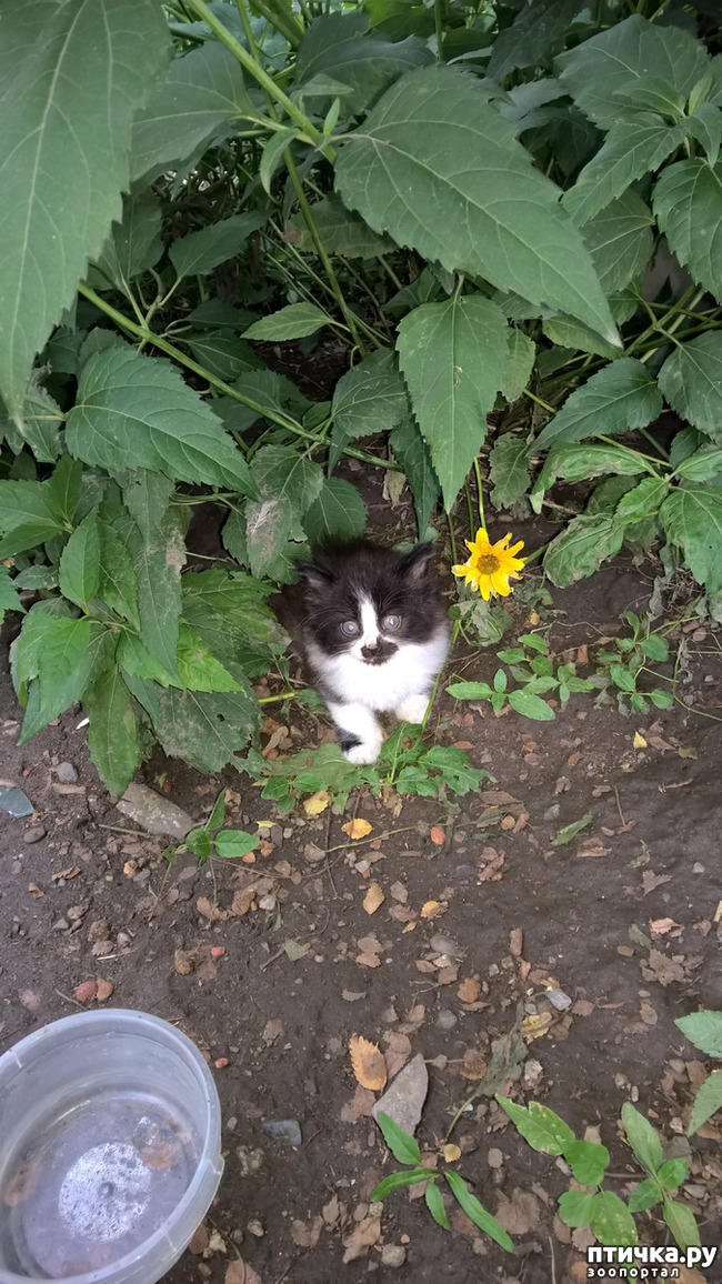 ���� 3: ������� ���������