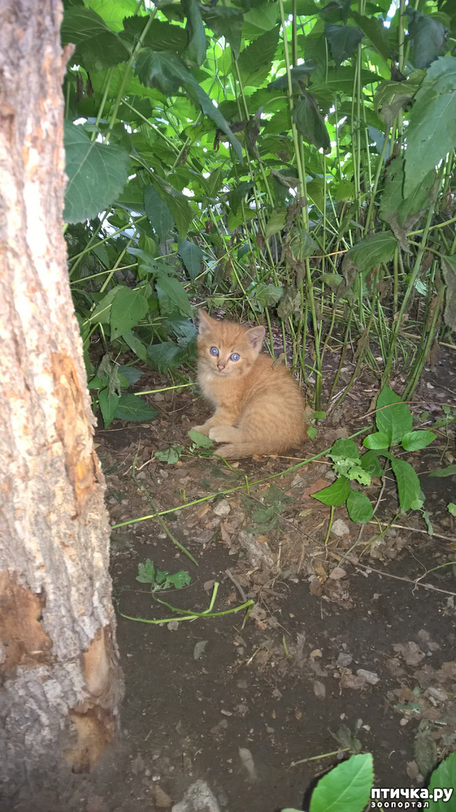 ���� 2: ������� ���������