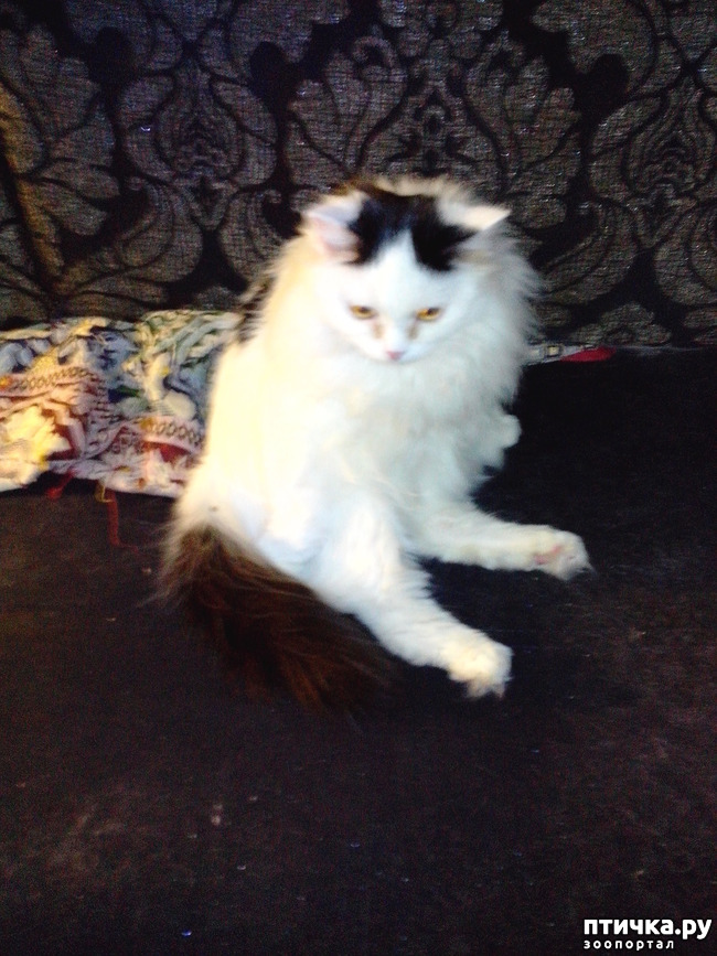 ���� 2: ���� � ����� �������