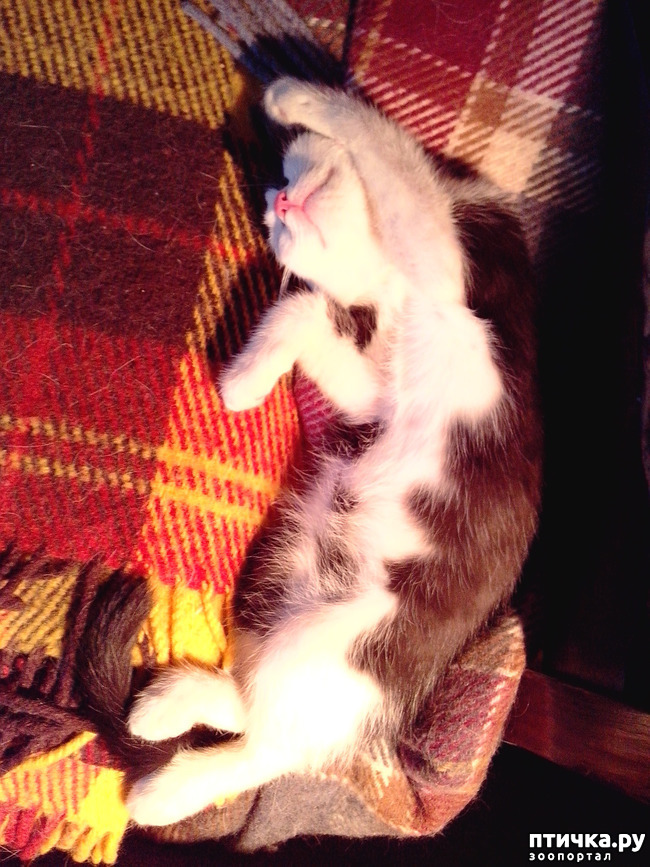 ���� 3: ���� � ����� �������