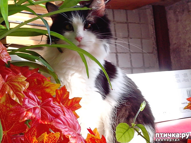 ���� 4: ���� � ����� �������