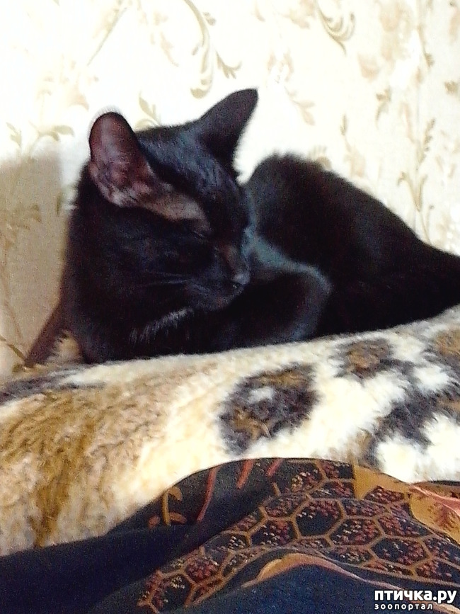 ���� 5: ���� � ����� �������