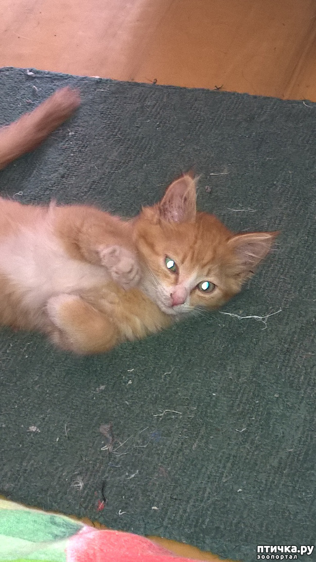 ���� 2: ��������